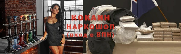 ALPHA PVP Осинники