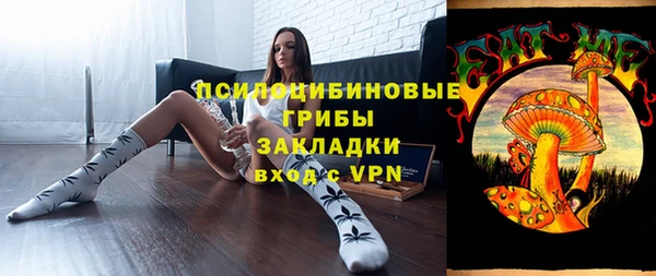 ALPHA PVP Осинники